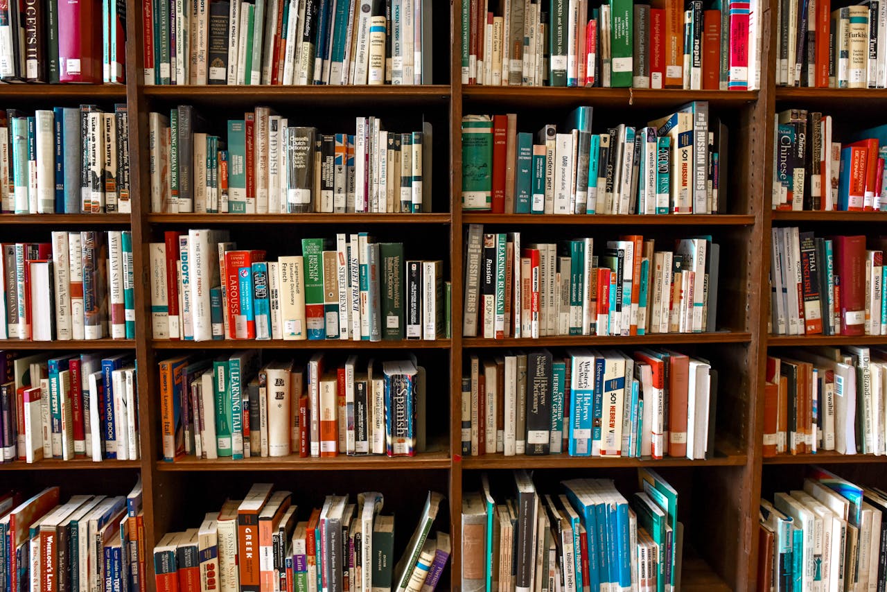 gallery-4 Vibrant library scene featuring wooden bookshelves filled with various books.